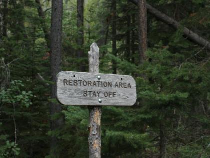 Marked for Total Restoration