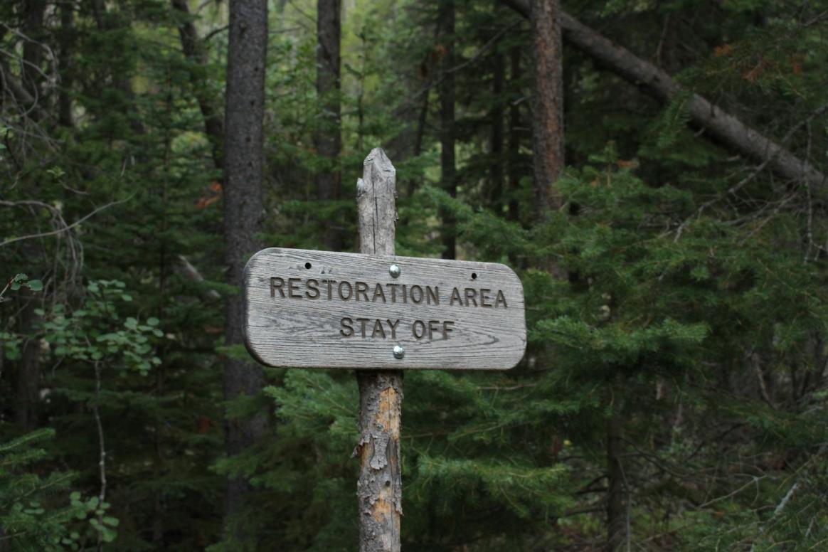 Marked for Total Restoration